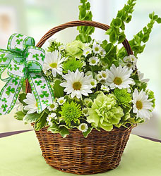 St Patricks Day Flower Basket Flower Power, Florist Davenport FL